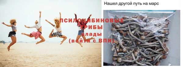 ALPHA PVP Рославль