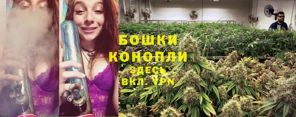 не бодяженный Беломорск