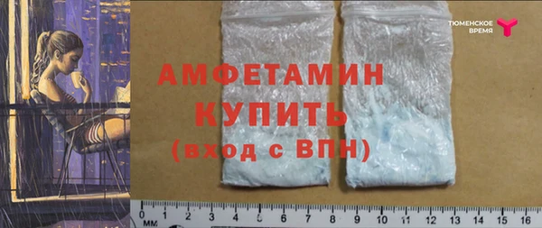 индика Россошь