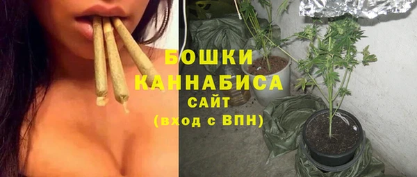 индика Россошь