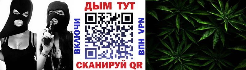 Каннабис марихуана Шимановск